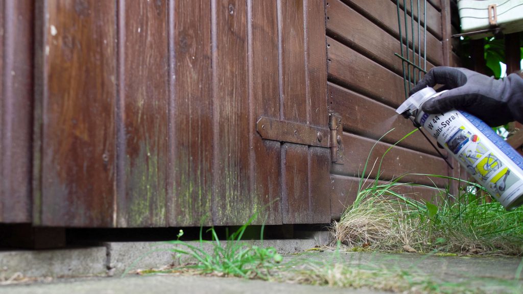 Trick zum Grünbelag entfernen: Einsatz von W 44 T Multi-Spray